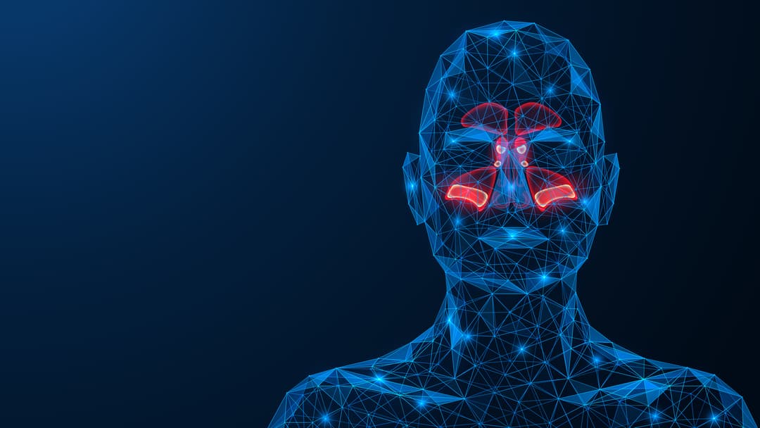 Sinusitis. stock illustration